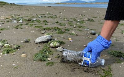 Gewapend met handschoenen en vuilniszak